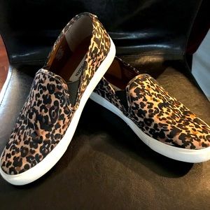 Steve Madden slip on leopard shoe